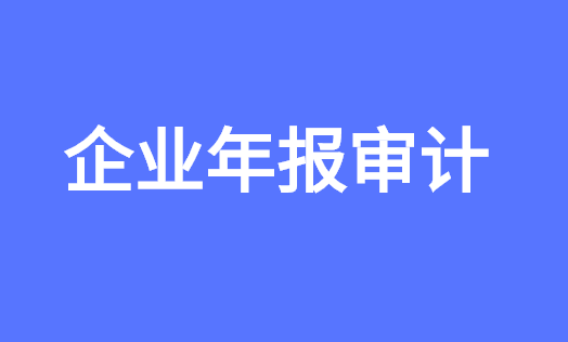 民办非年报审计.png