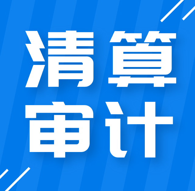 成都公司清算审计.png