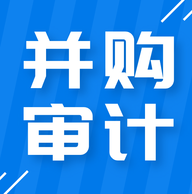 成都公司并购审计.png