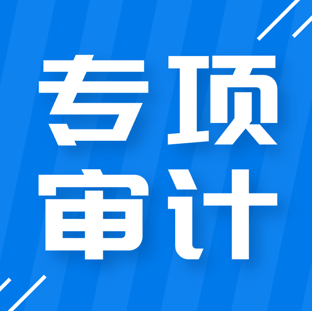 成都公司专项审计.png