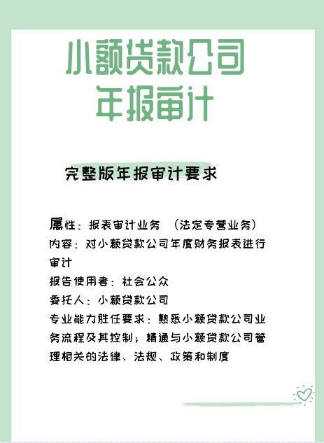 小额贷款公司年报.png