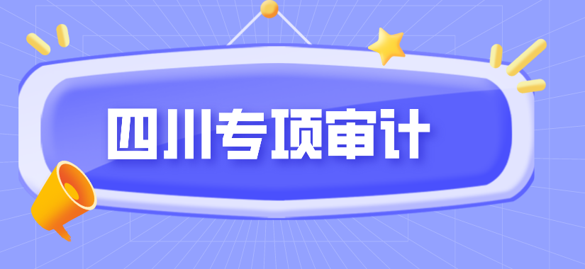 四川专项审计.png