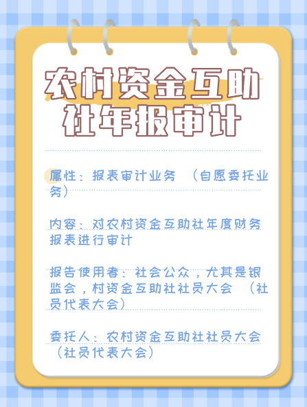 农村资金互助年报审计.png