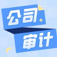 公司审计.png